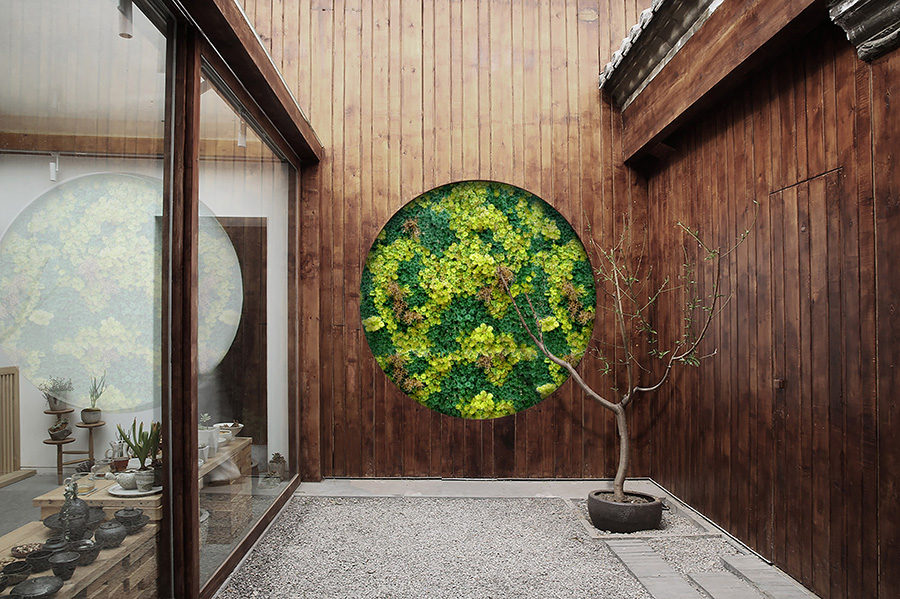 a tree in a pot in front of a wall