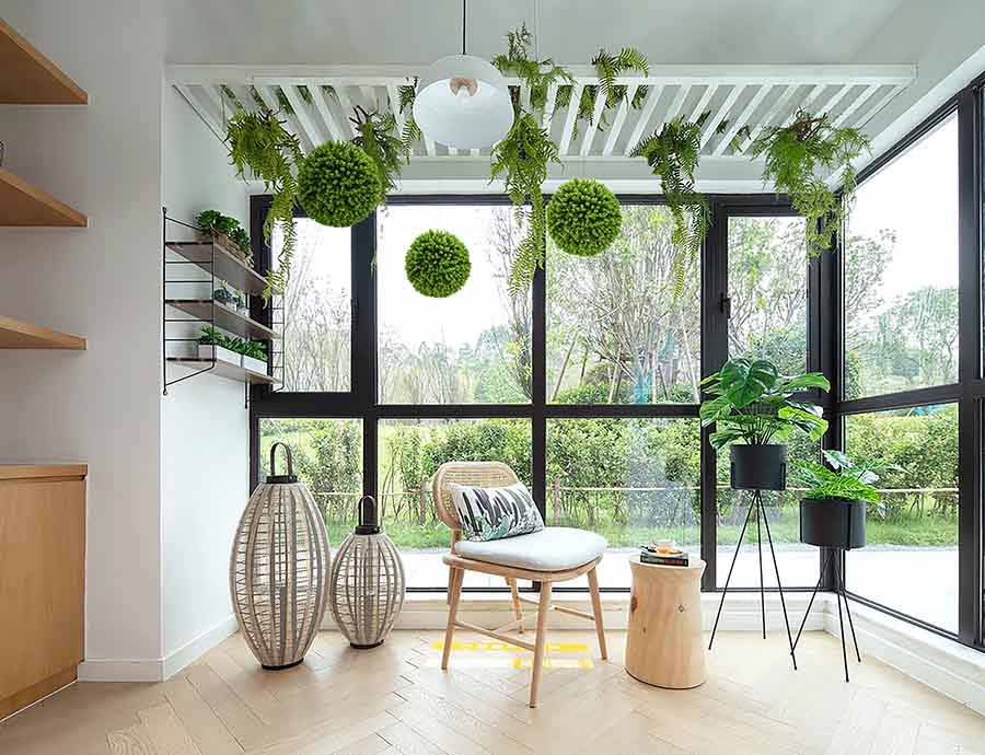 hanging plants