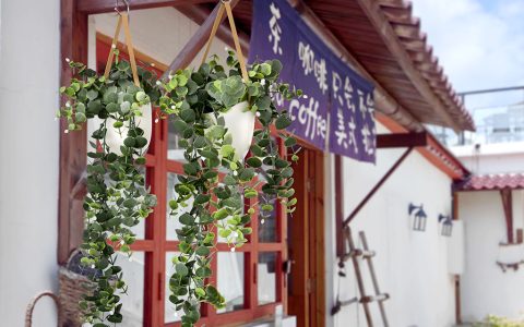 ARTIFICIAL HANGING VINES FOR CAFE DECORATION